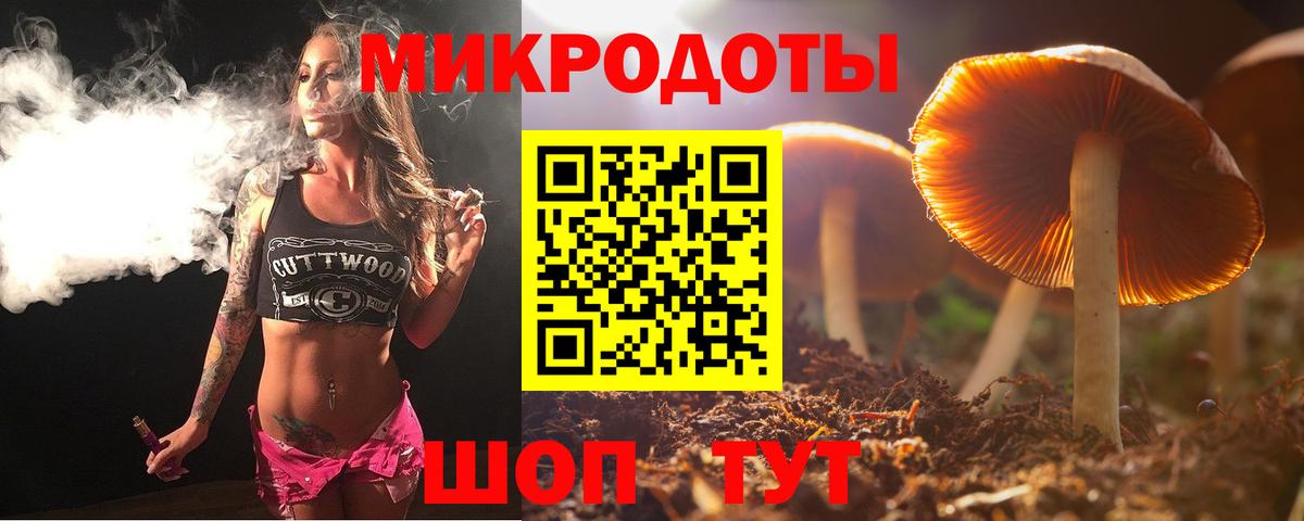 Ковров  Псилоцибиновые грибы Psilocybine cubensis  Вход с VPN  Галлюциногенные грибы GOLDEN TEACHER 